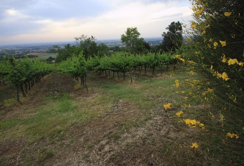 Agriturismo Gaggioli Borgo Delle Vigne