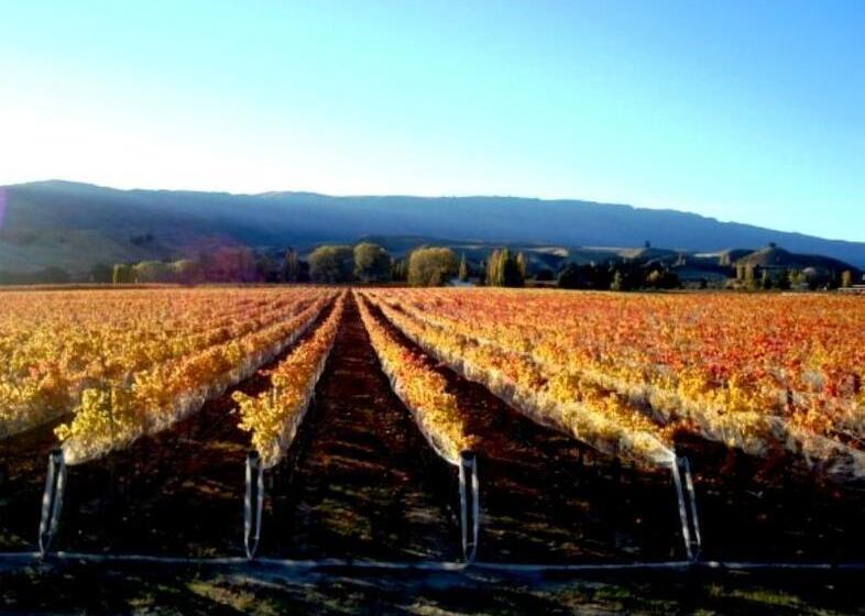 Asure Central Gold Motel Cromwell