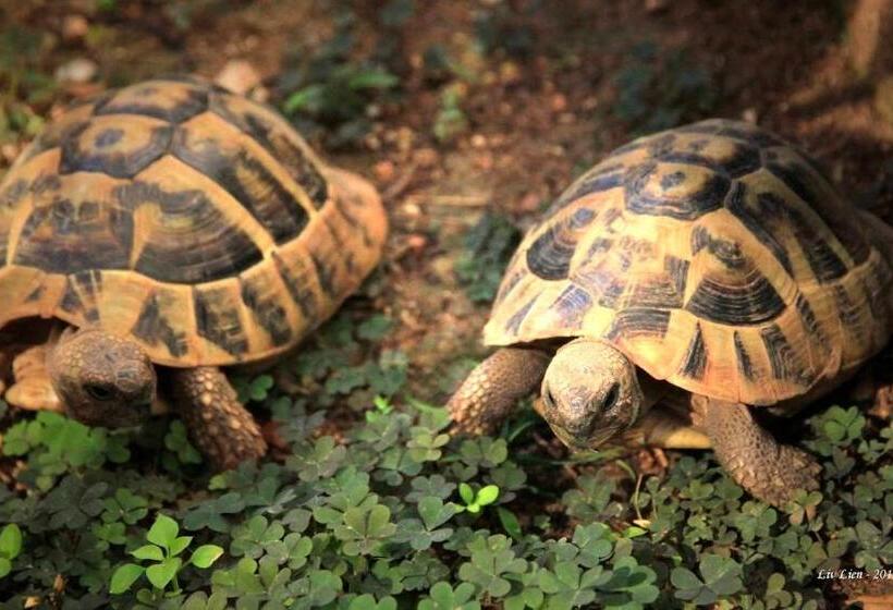 B&b Villa Velike Stine