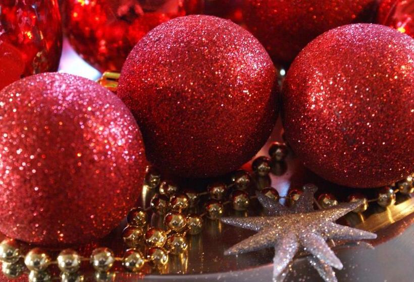 צימר De Heerlijkheid Ruinerwold