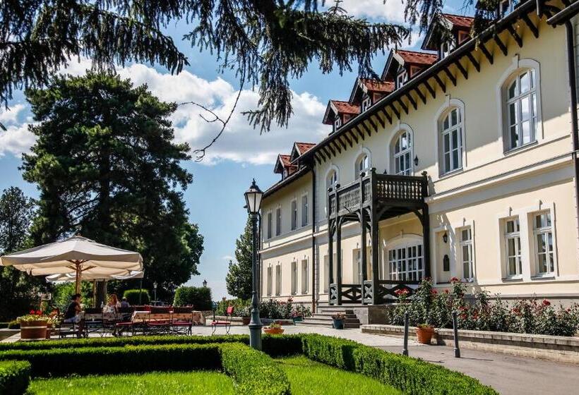 Castle Hotel Grof Degenfeld Superior