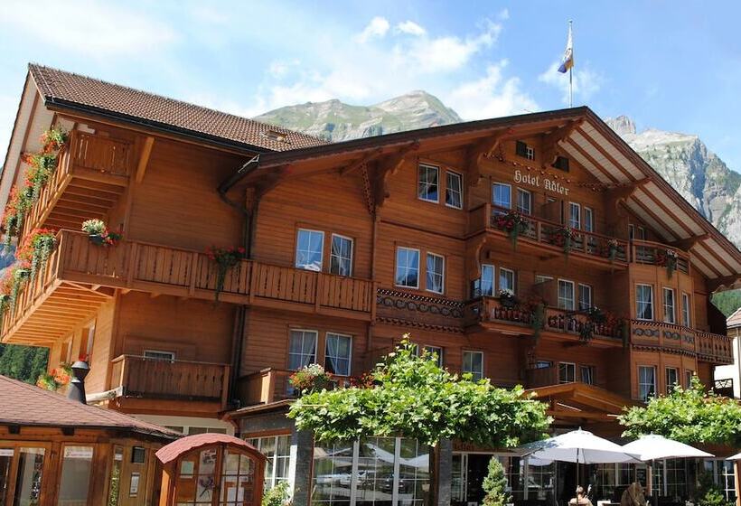 Chalet Hotel Adler Ag