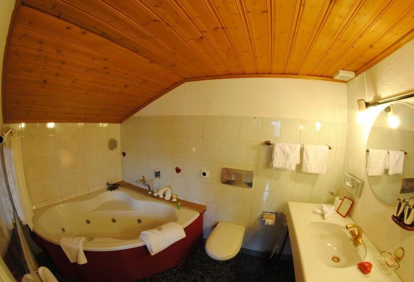 Chalet Hotel Adler Ag