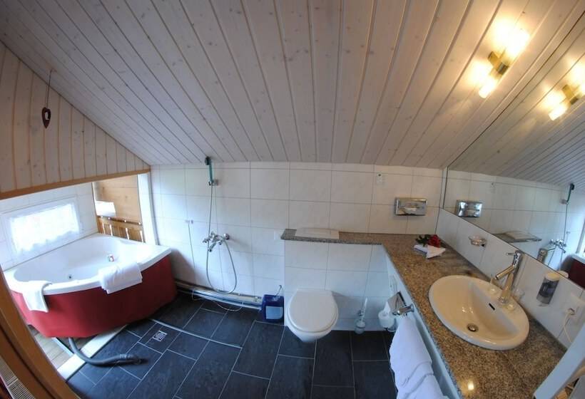 Chalet Hotel Adler Ag