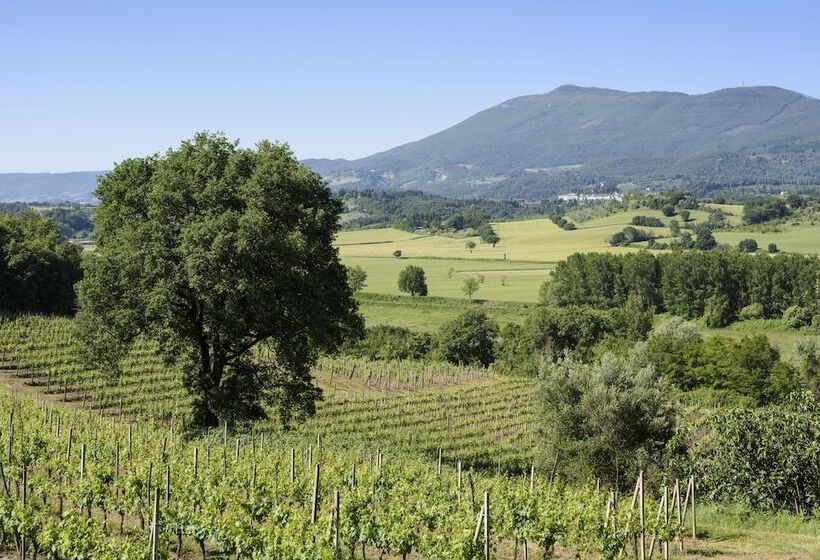 ホテル Agriturismo Villa Alari