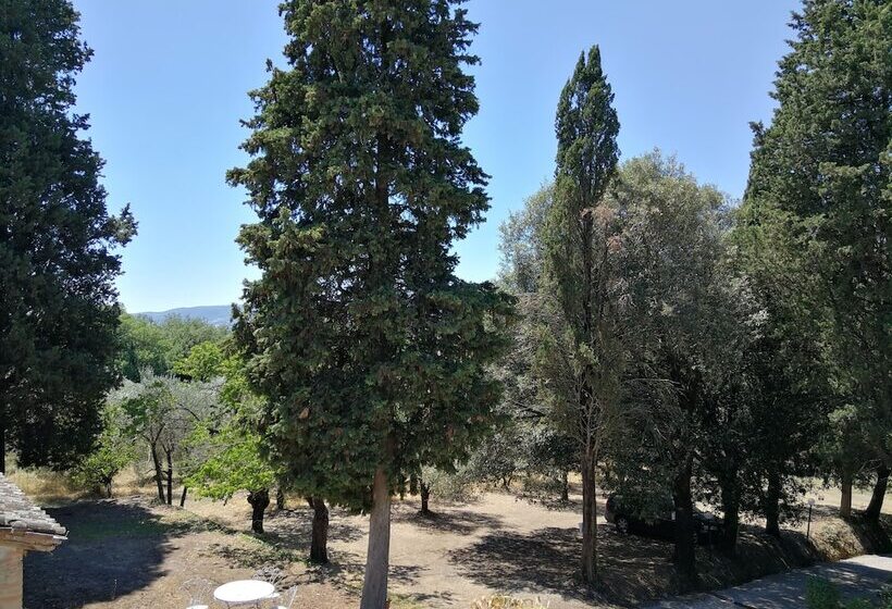 ホテル Agriturismo Villa Alari