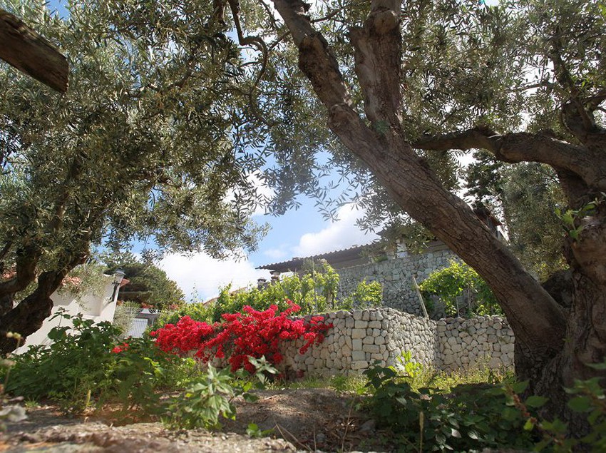 Agriturismo Il Vitigno