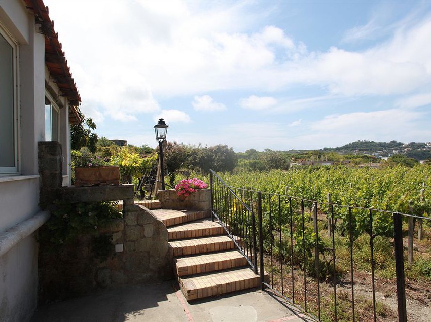 Agriturismo Il Vitigno