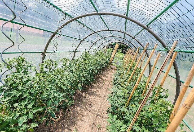 فندق Al Sorriso Greenpark & Wellness