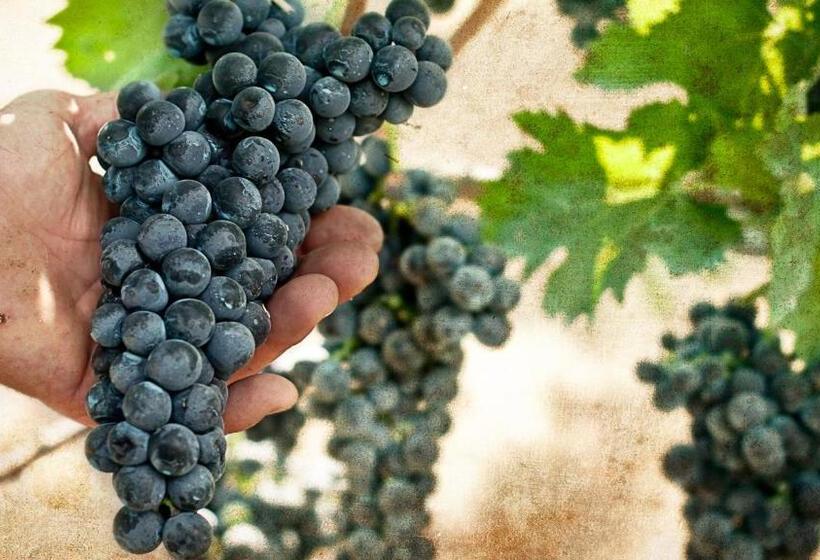 فندق Albergo La Vigna