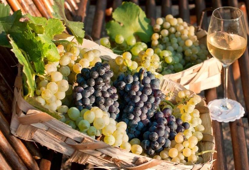 فندق Albergo La Vigna