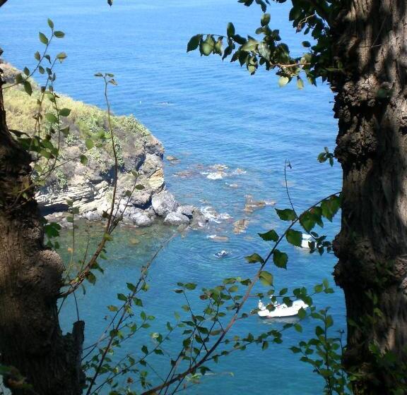 فندق Albergo La Vigna