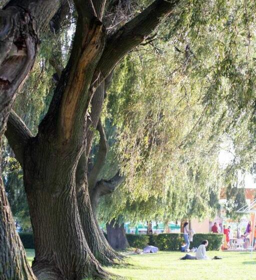 Hotel Apartman Bella