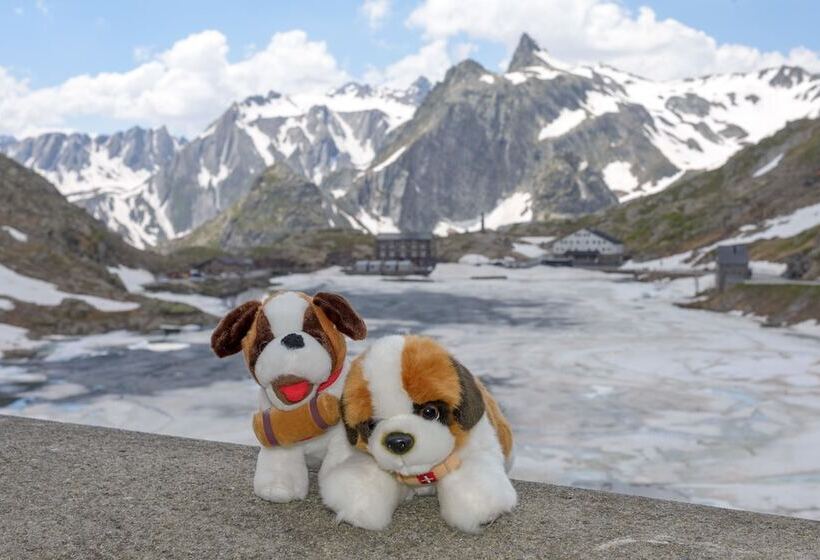 בית מלון כפרי Au Bivouac De Napoléon