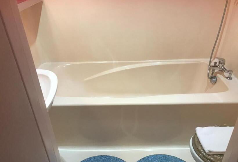 ホテル Bar Restaurant Couleurs Sud