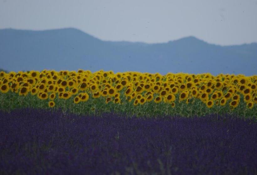 ホテル Bel Alp Manosque