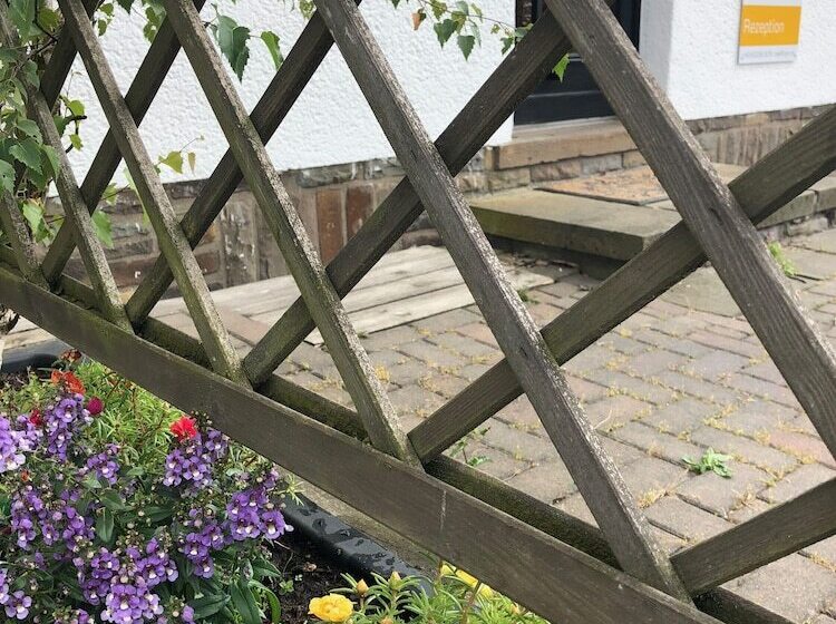 호텔 Privatzimmer Bellevue