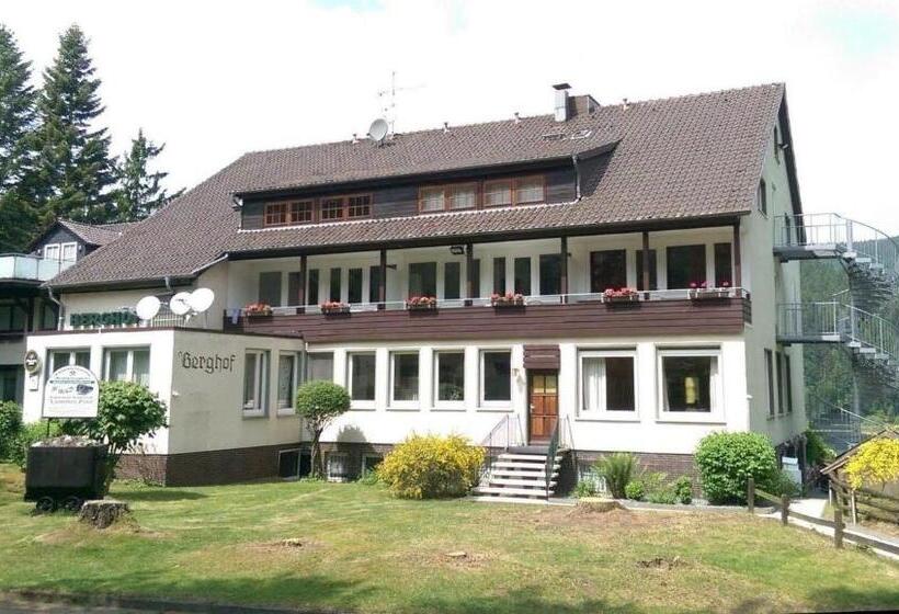 هتل Berghof Am See