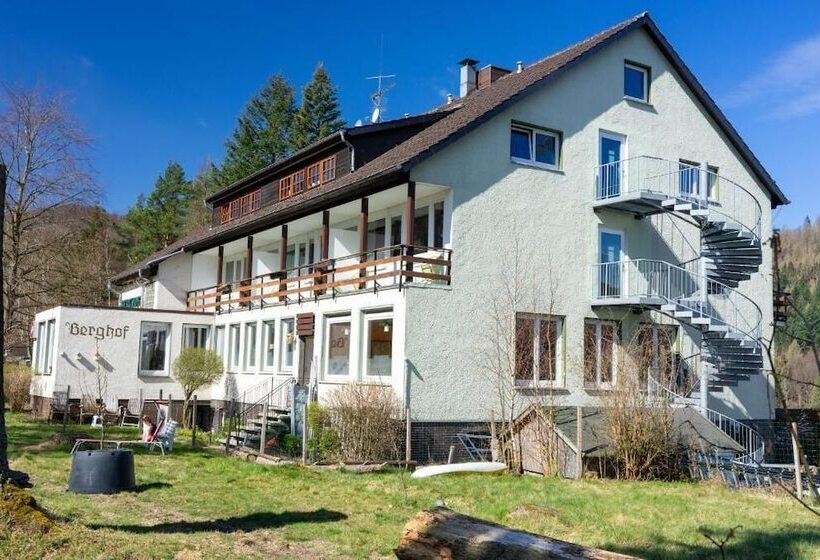 هتل Berghof Am See