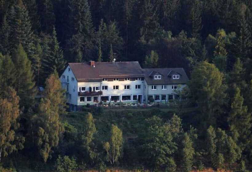 هتل Berghof Am See