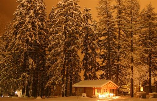 هتل Cepina Albergo Incantato