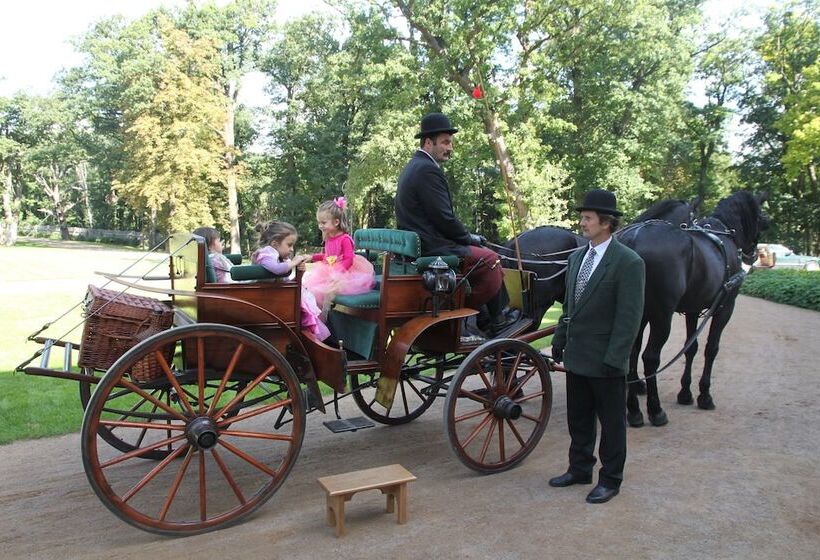 호텔 Chateau Mcely