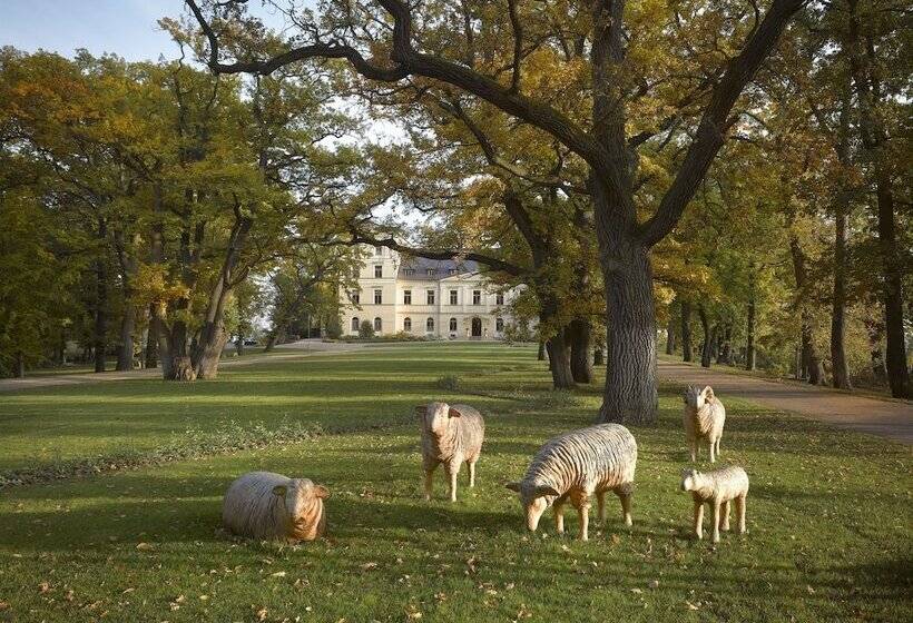 호텔 Chateau Mcely