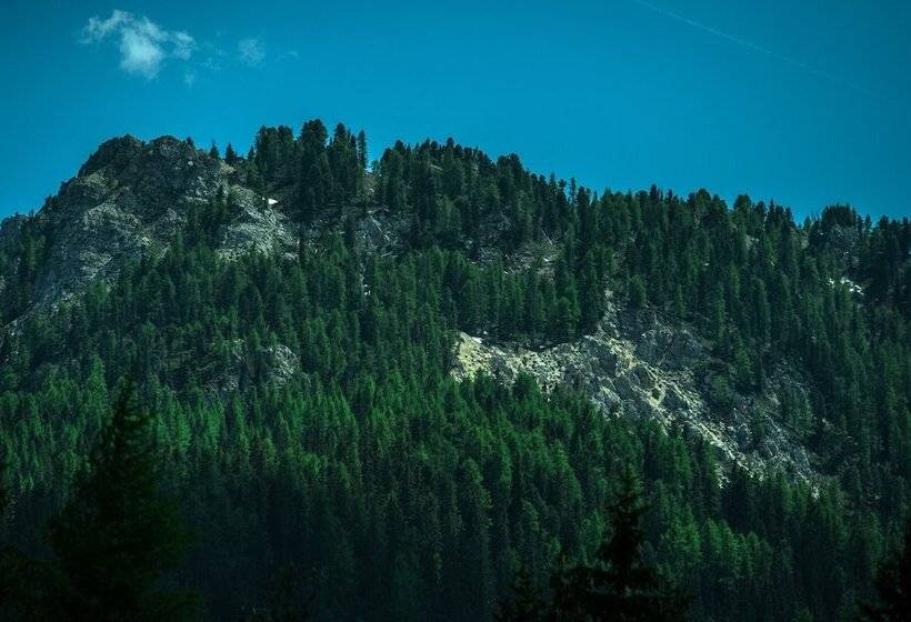 בית מלון כפרי Ciasa Salares