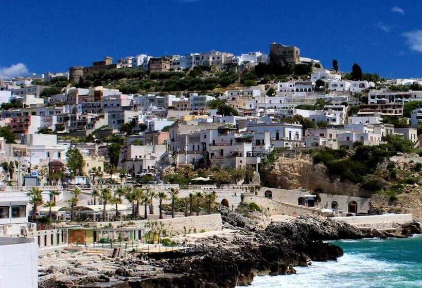 فندق Degli Ulivi