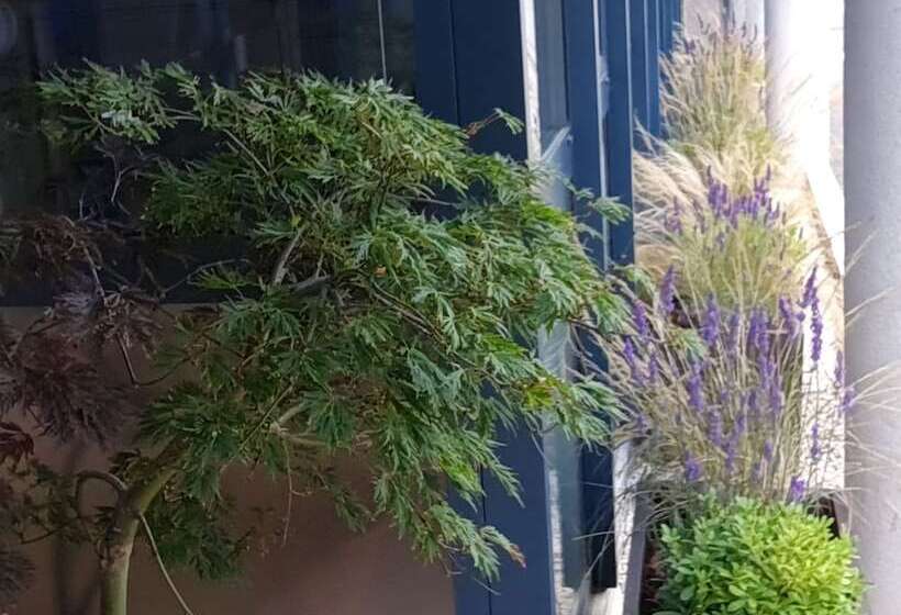 فندق Deltour Hôtel   L Adresse Ruthénoise