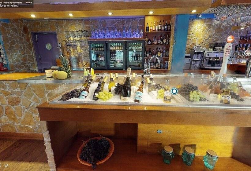 호텔 Dolores Ameland