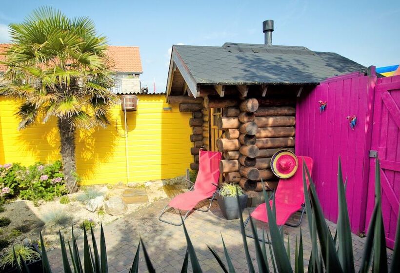 호텔 Dolores Ameland