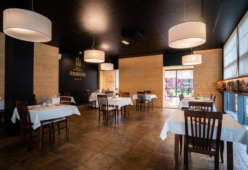 Отель Draconerium