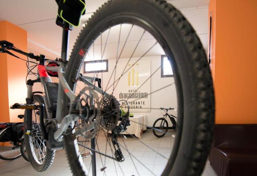 Отель Draconerium