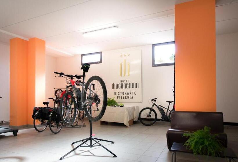 Отель Draconerium