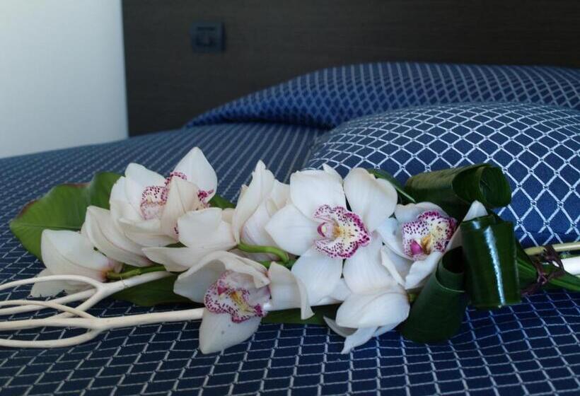 Отель Draconerium