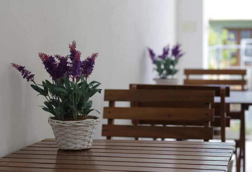 בית מלון כפרי Elicrim