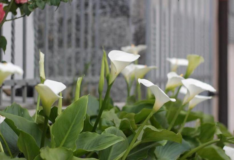 בית מלון כפרי Elicrim