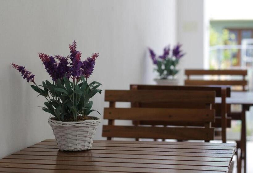 בית מלון כפרי Elicrim