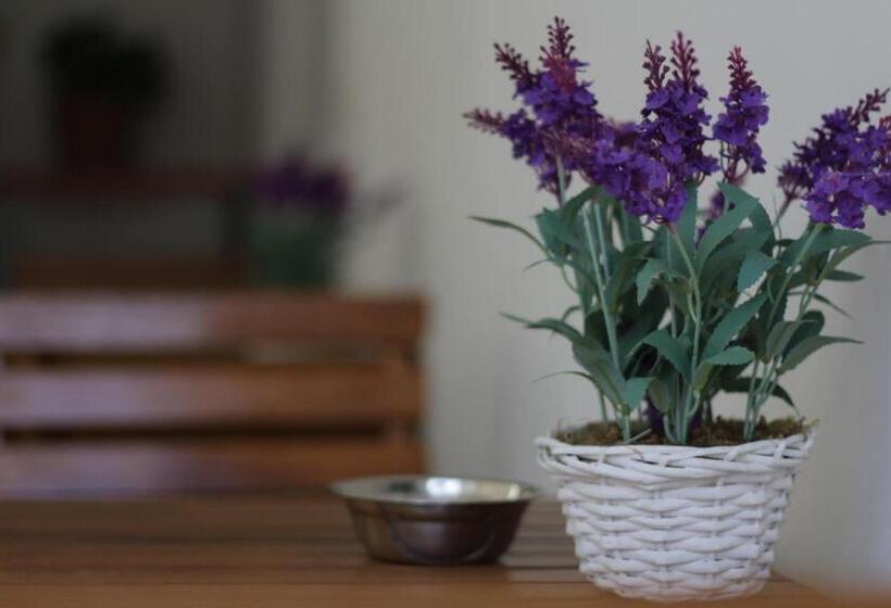 בית מלון כפרי Elicrim