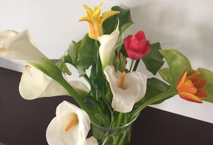 בית מלון כפרי Elicrim