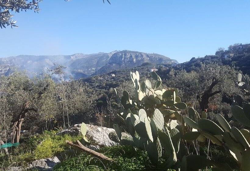 בית מלון כפרי Gli Ulivi Agriturismo