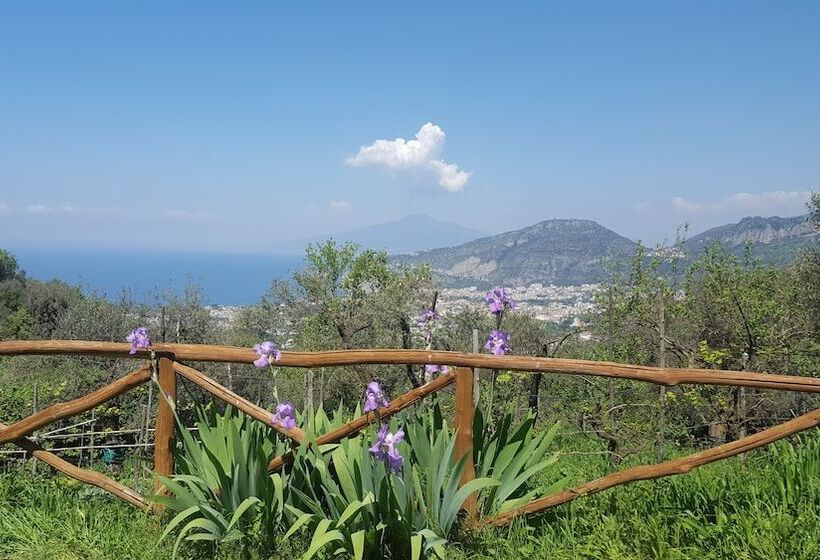 בית מלון כפרי Gli Ulivi Agriturismo