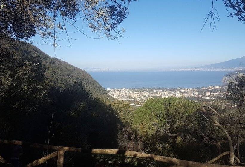 בית מלון כפרי Gli Ulivi Agriturismo