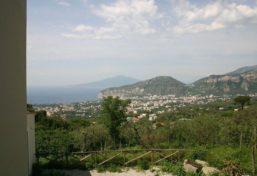 בית מלון כפרי Gli Ulivi Agriturismo