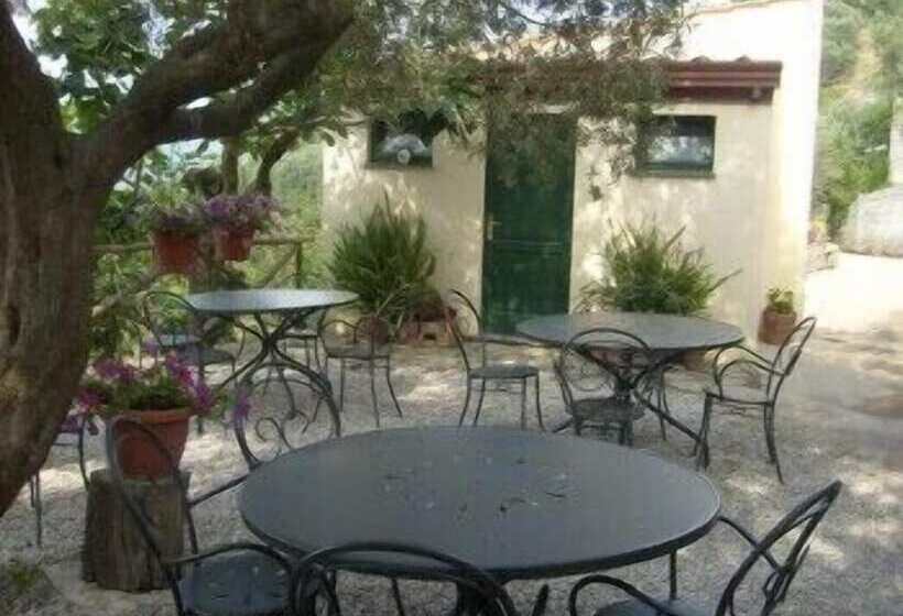 בית מלון כפרי Gli Ulivi Agriturismo