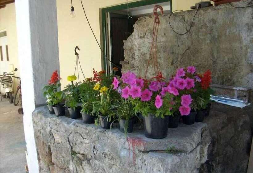 בית מלון כפרי Gli Ulivi Agriturismo