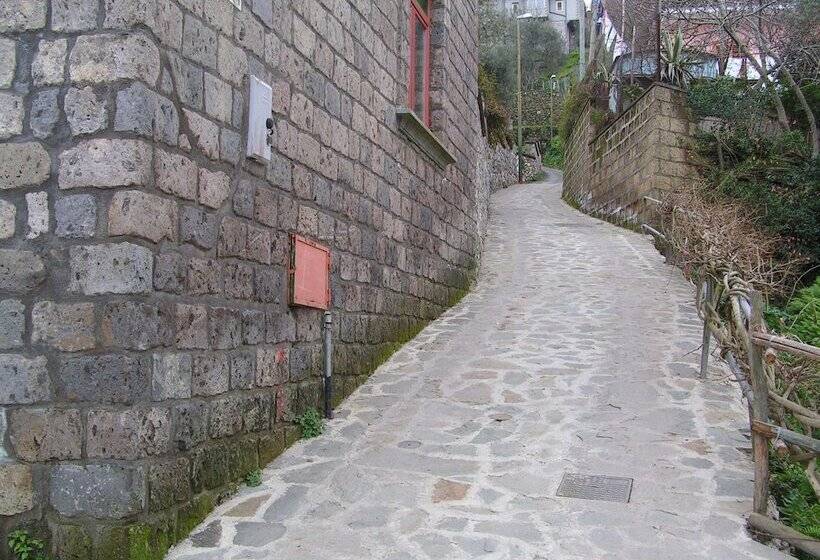 בית מלון כפרי Gli Ulivi Agriturismo