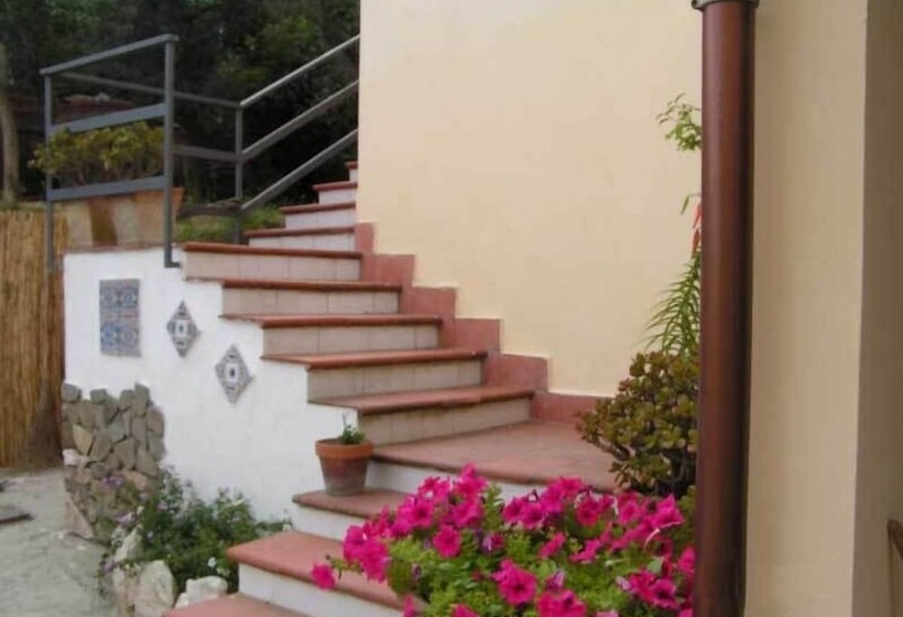 בית מלון כפרי Gli Ulivi Agriturismo