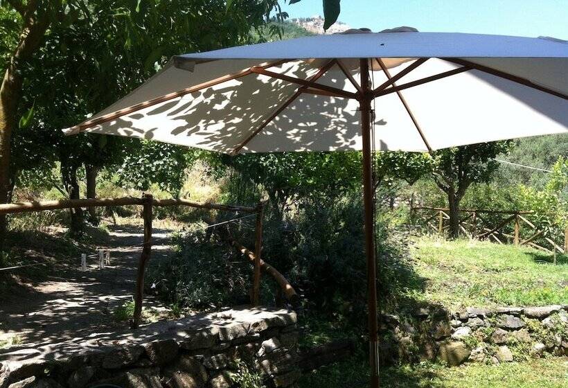 בית מלון כפרי Gli Ulivi Agriturismo